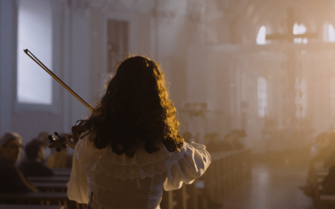 D-bü 2024 Dokumentation